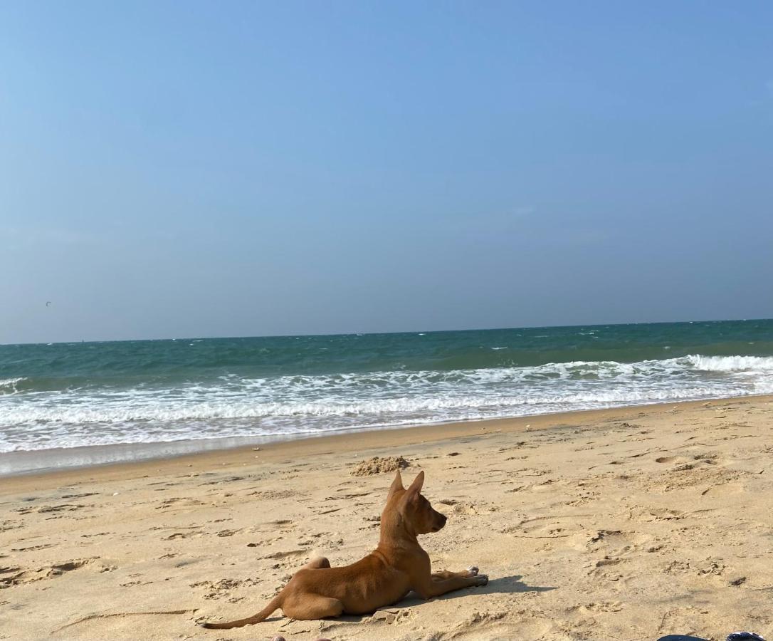 Sea Sand Resort Kalpitiya Exterior foto
